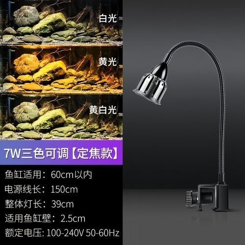 如何設置七彩雷龍魚缸的照明時間（七彩雷龍魚缸的照明時間）