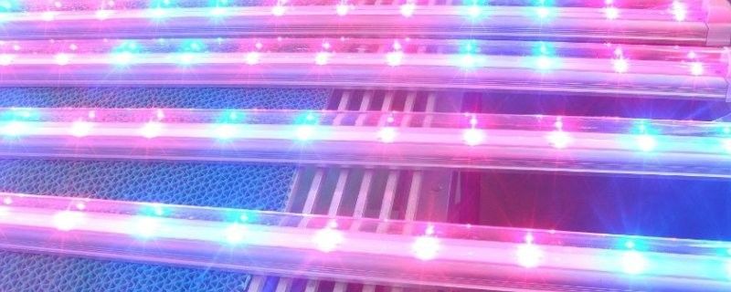 紅龍養殖LED燈的安裝方法（紅龍養殖led燈的安裝方法）