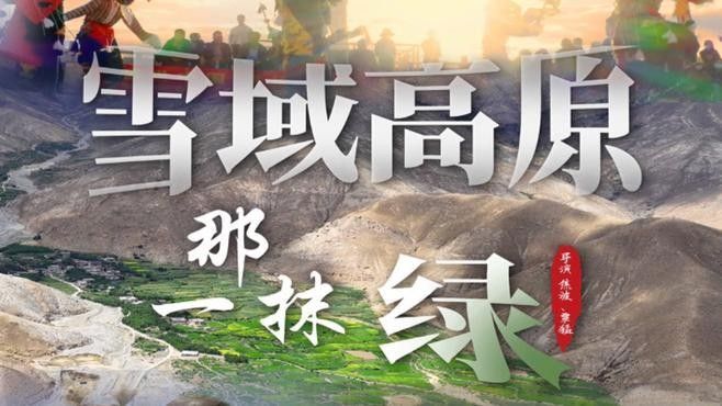 哪里可以觀看這些紀錄片（優酷紀錄片觀看紀錄片在哪看記住5個平臺就夠了）
