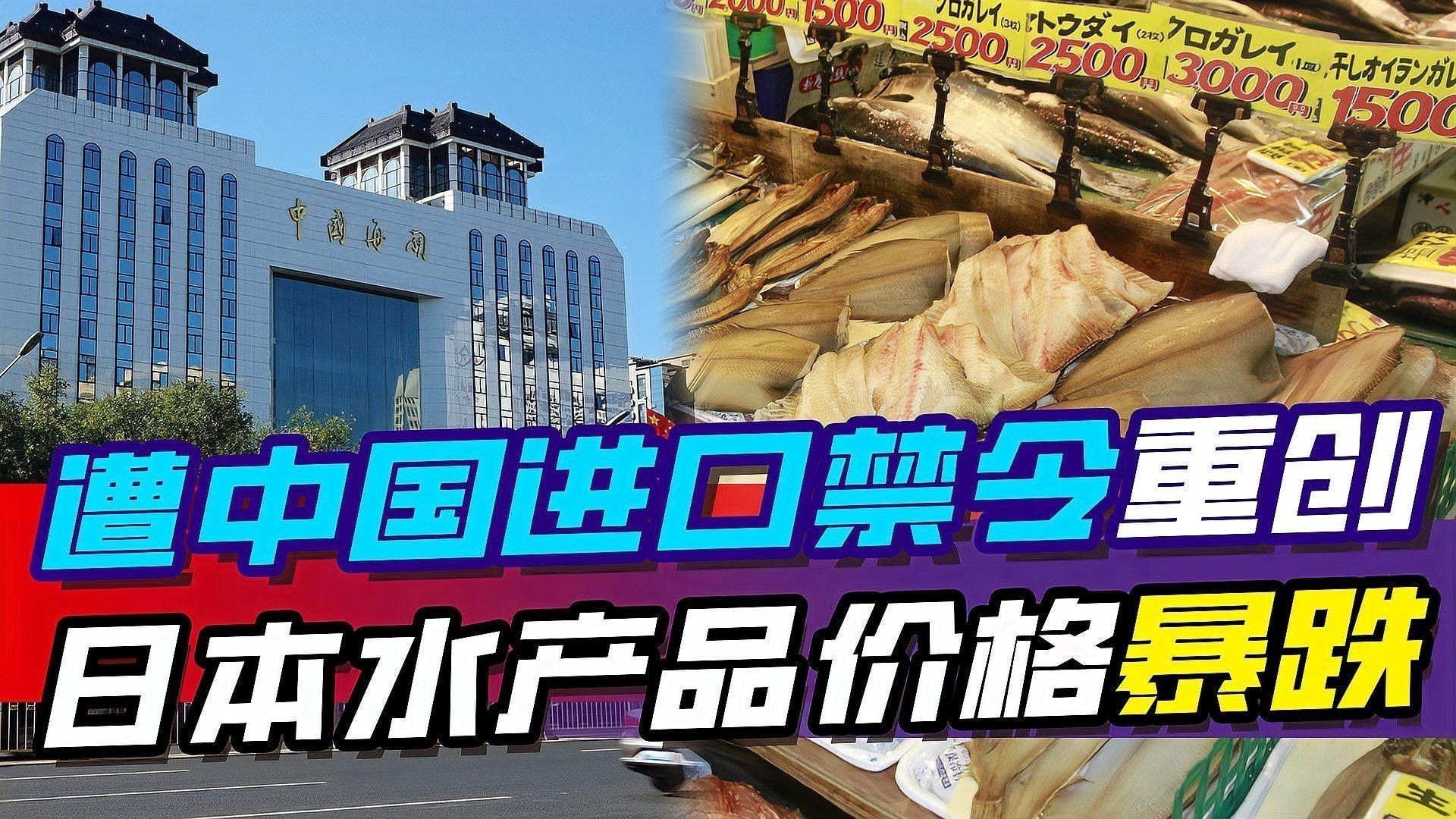 金龍魚批發需要哪些手續（金龍魚批發涉及一系列手續和流程以確保合法經營并符合法規）