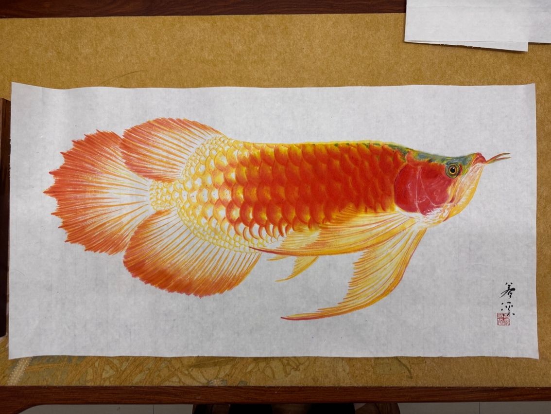 龍魚(yú)小寫(xiě)意（魚(yú)小寫(xiě)意——龍魚(yú)）