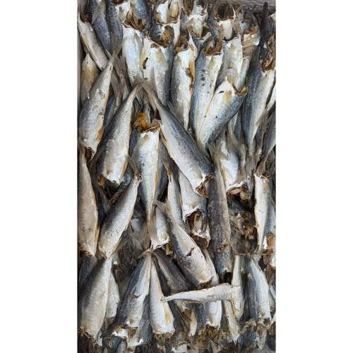 如何挑選新鮮的巴浪魚？（如何挑選一只新鮮的巴浪魚）