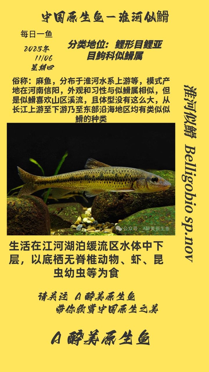 淮河似?（中國東部的重要河流之一淮河流域是中國重要的工業(yè)基地之一）