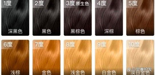 能提供一個更詳細的發色記錄表嗎（2023-05-染發劑|頭發顏色記錄表）