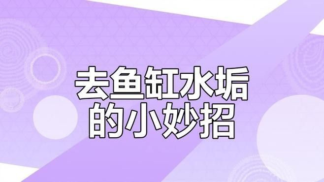 龍魚缸白色絮狀物是什么（魚缸中出現白色絮狀物怎么辦） 龍魚缸白色絮狀物是什么（魚缸中出現白色絮狀物怎么辦） 龍魚百科 第3張
