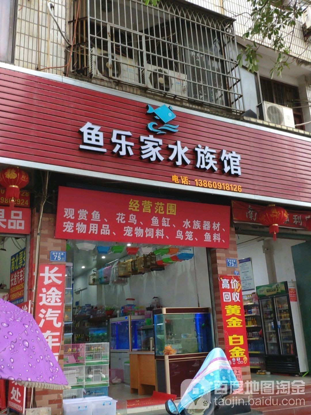涵江哪個水族館龍魚好？祥龍魚場龍魚（福建省莆田市涵江區祥龍魚場）
