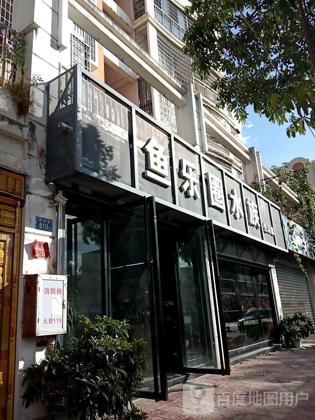 涵江哪個水族館龍魚好？祥龍魚場龍魚（福建省莆田市涵江區祥龍魚場）