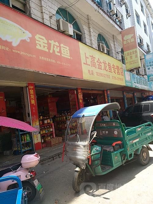 金龍魚官方授權渠道有哪些（金龍魚官方授權渠道）