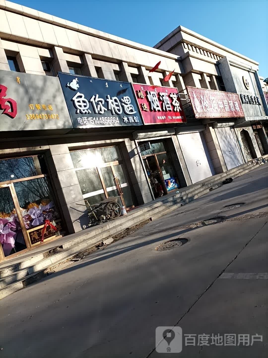 涼城哪個水族館龍魚好？祥龍魚場龍魚（烏蘭察布市涼城祥龍水族館和魚場提供高品質(zhì)龍魚及相關(guān)服務(wù)） 涼城哪個水族館龍魚好？祥龍魚場龍魚（烏蘭察布市涼城祥龍水族館和魚場提供高品質(zhì)龍魚及相關(guān)服務(wù)） 龍魚百科 第1張