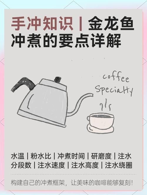 金龍魚(yú)半煎煮的具體步驟（金龍魚(yú)半煎煮怎么做好吃）