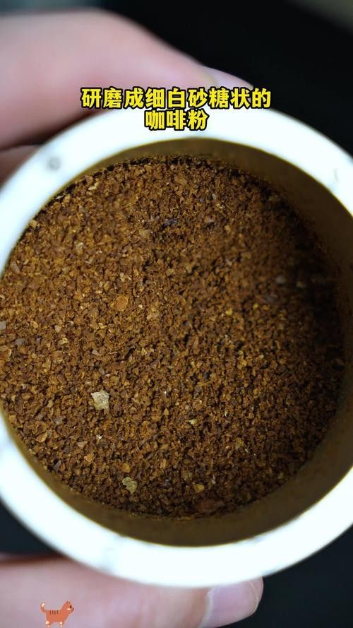 金龍魚(yú)半煎煮的具體步驟（金龍魚(yú)半煎煮怎么做好吃）