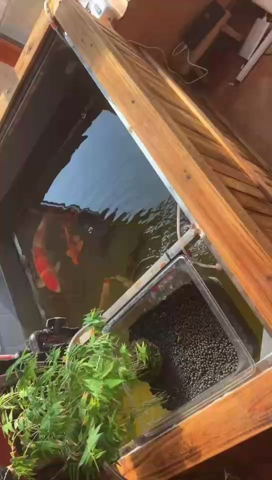 多云轉晴（多云轉晴現象在氣候研究中的重要性）