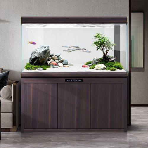 漢霸龍魚缸有哪些型號可選？（漢霸大型龍魚缸客廳家用辦公室智能魚缸） 漢霸龍魚缸有哪些型號可選？（漢霸大型龍魚缸客廳家用辦公室智能魚缸） 龍魚百科 第2張