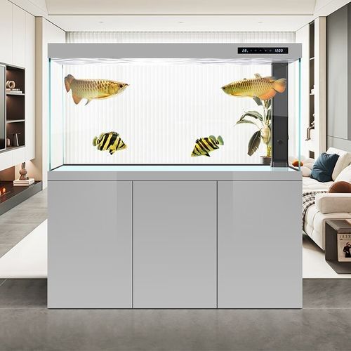 漢霸龍魚缸有哪些型號可選？（漢霸大型龍魚缸客廳家用辦公室智能魚缸） 漢霸龍魚缸有哪些型號可選？（漢霸大型龍魚缸客廳家用辦公室智能魚缸） 龍魚百科 第6張