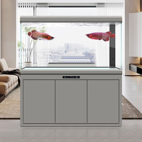 漢霸龍魚缸有哪些型號可選？（漢霸大型龍魚缸客廳家用辦公室智能魚缸） 漢霸龍魚缸有哪些型號可選？（漢霸大型龍魚缸客廳家用辦公室智能魚缸） 龍魚百科 第3張