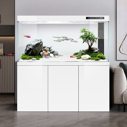 漢霸龍魚缸有哪些型號可選？（漢霸大型龍魚缸客廳家用辦公室智能魚缸） 漢霸龍魚缸有哪些型號可選？（漢霸大型龍魚缸客廳家用辦公室智能魚缸） 龍魚百科 第7張