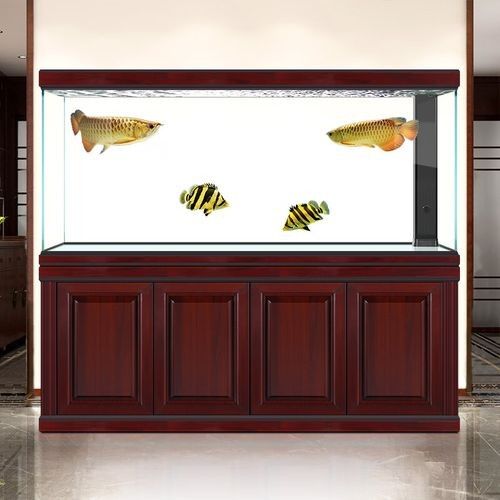 漢霸龍魚缸有哪些型號可選？（漢霸大型龍魚缸客廳家用辦公室智能魚缸） 漢霸龍魚缸有哪些型號可選？（漢霸大型龍魚缸客廳家用辦公室智能魚缸） 龍魚百科 第5張