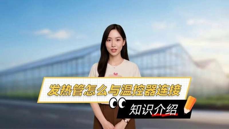 如何安裝匯龍魚缸溫控器（匯龍魚缸溫控器使用指南） 如何安裝匯龍魚缸溫控器（匯龍魚缸溫控器使用指南） 龍魚百科 第7張