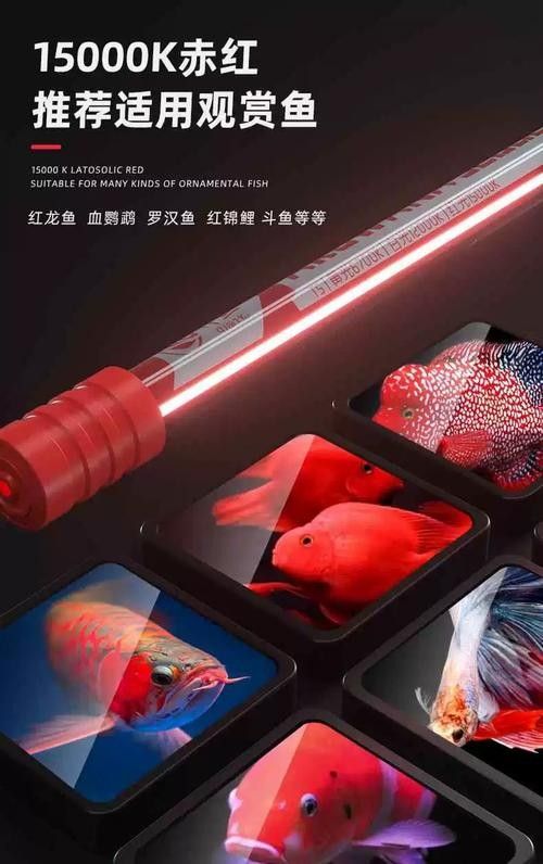 NEC龍魚燈有哪些型號（nec龍魚燈專用燈管金紅龍專用燈管金紅龍專用燈） NEC龍魚燈有哪些型號（nec龍魚燈專用燈管金紅龍專用燈管金紅龍專用燈） 龍魚百科 第3張