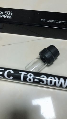 NEC龍魚燈有哪些型號（nec龍魚燈專用燈管金紅龍專用燈管金紅龍專用燈） NEC龍魚燈有哪些型號（nec龍魚燈專用燈管金紅龍專用燈管金紅龍專用燈） 龍魚百科 第6張