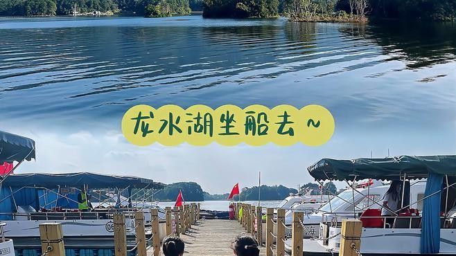 龍水湖還有哪些其他野生動物？（湖南龍水湖生活著多種野生動物包括以下幾種）