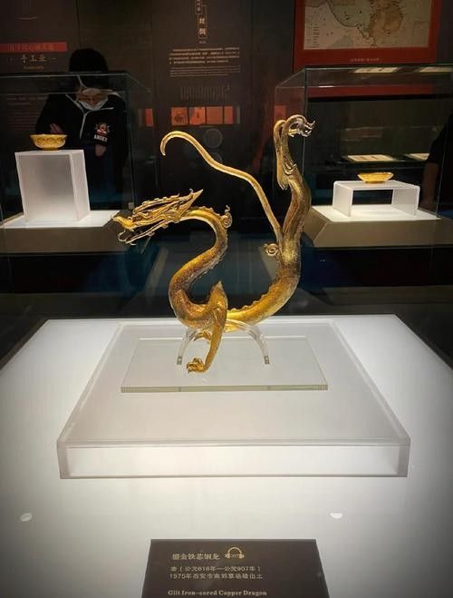 還有哪些唐代金龍值得一看？（在博物館感受唐代金龍之美光明網(wǎng)）