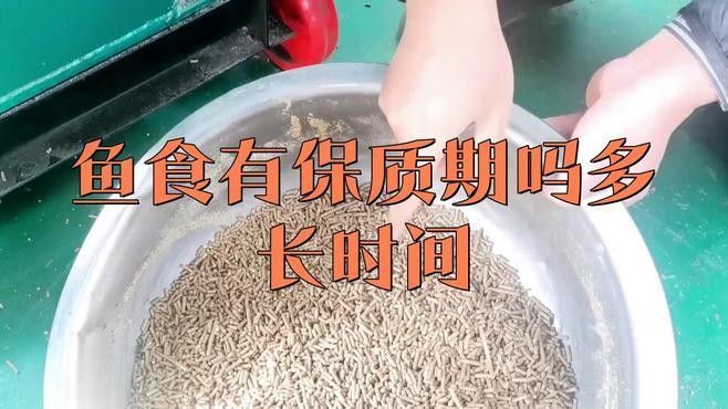 散裝金龍魚飼料如何保存更久（散裝金龍魚飼料保質期一般多久魚飼料過了保質期還能吃嗎） 散裝金龍魚飼料如何保存更久（散裝金龍魚飼料保質期一般多久魚飼料過了保質期還能吃嗎） 龍魚百科 第1張