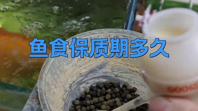 散裝金龍魚飼料如何保存更久（散裝金龍魚飼料保質期一般多久魚飼料過了保質期還能吃嗎） 散裝金龍魚飼料如何保存更久（散裝金龍魚飼料保質期一般多久魚飼料過了保質期還能吃嗎） 龍魚百科 第3張