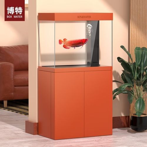博特龍魚缸定制顏色有哪些（博特大型龍魚缸大型水族箱）