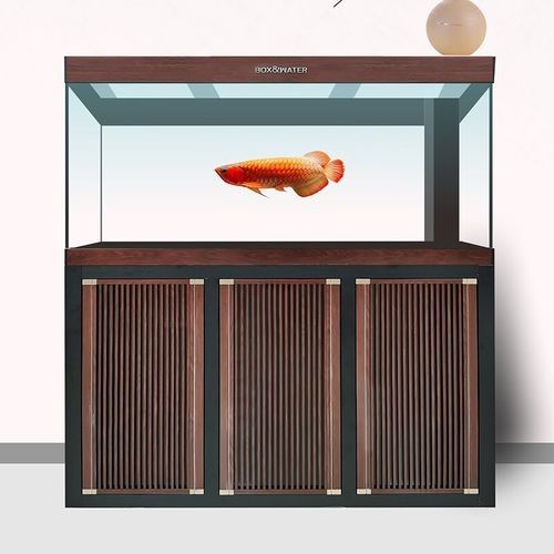 博特龍魚缸定制顏色有哪些（博特大型龍魚缸大型水族箱）