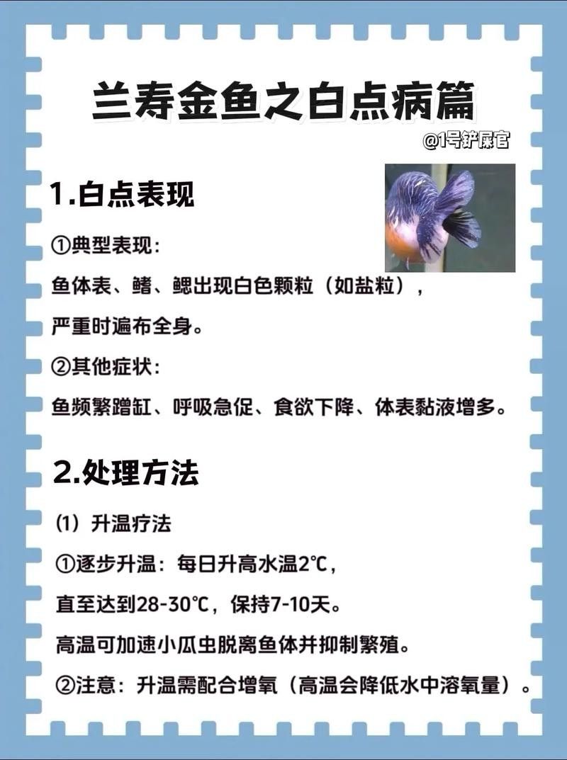 如何預防金龍魚再次感染水霉病（如何有效預防金龍魚再次感染水霉病）