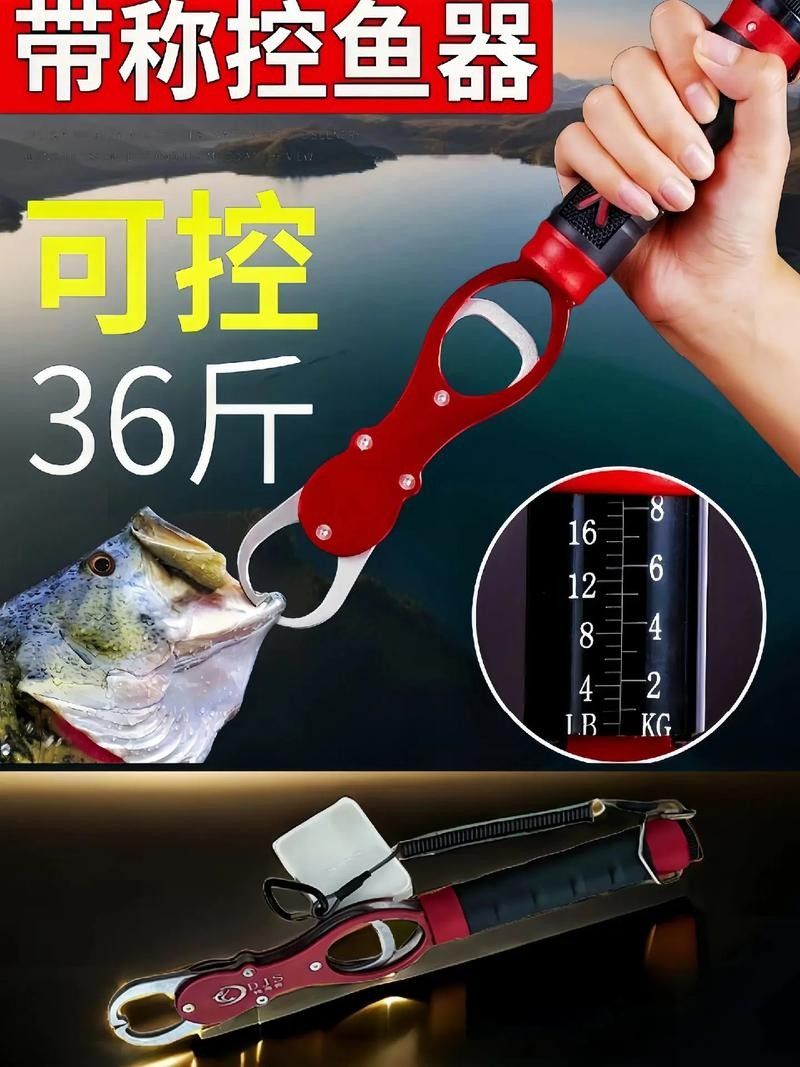 有哪些控魚神器推薦（探索控魚神器：提升釣魚技巧與效率的必備工具） 有哪些控魚神器推薦（探索控魚神器：提升釣魚技巧與效率的必備工具） 龍魚百科 第6張