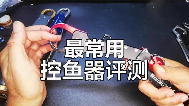 有哪些控魚神器推薦（探索控魚神器：提升釣魚技巧與效率的必備工具） 有哪些控魚神器推薦（探索控魚神器：提升釣魚技巧與效率的必備工具） 龍魚百科 第7張