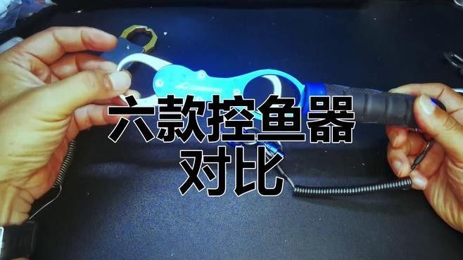 有哪些控魚神器推薦（探索控魚神器：提升釣魚技巧與效率的必備工具） 有哪些控魚神器推薦（探索控魚神器：提升釣魚技巧與效率的必備工具） 龍魚百科 第8張