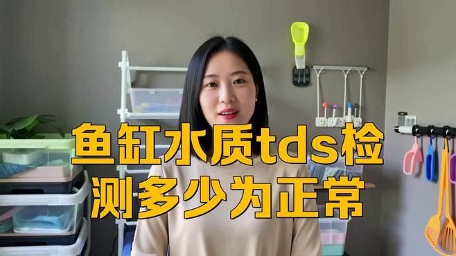 如何檢測博世龍魚缸的水質？（博世龍魚缸水質檢測多少為正常新手必看的關鍵指標）