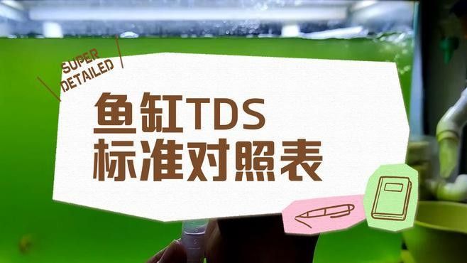 如何檢測博世龍魚缸的水質？（博世龍魚缸水質檢測多少為正常新手必看的關鍵指標）
