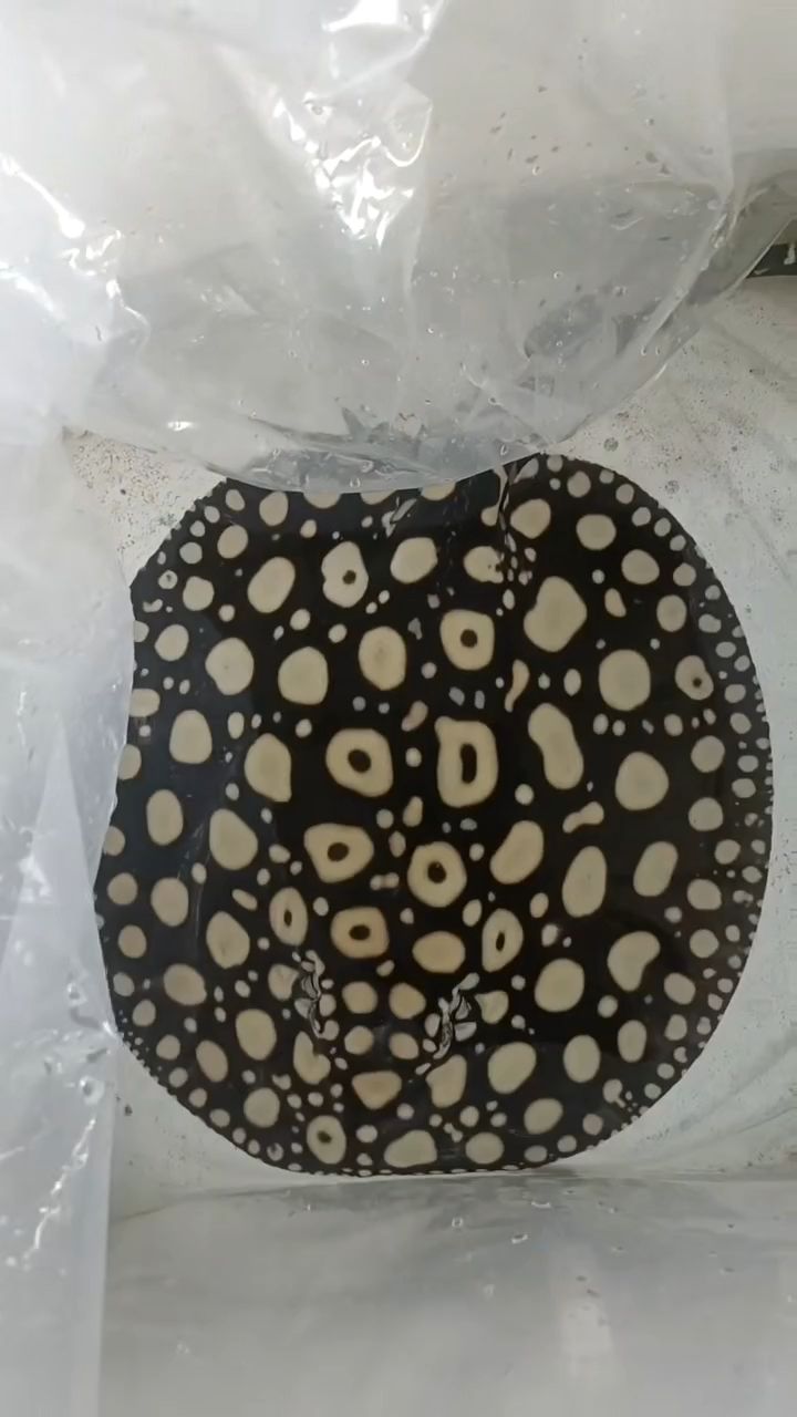 早安（一句簡單的早安祝福）