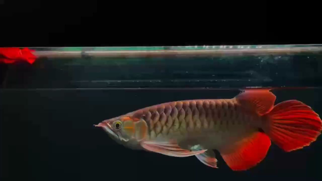 更新（如何在數(shù)字化時代推動教育創(chuàng)新）