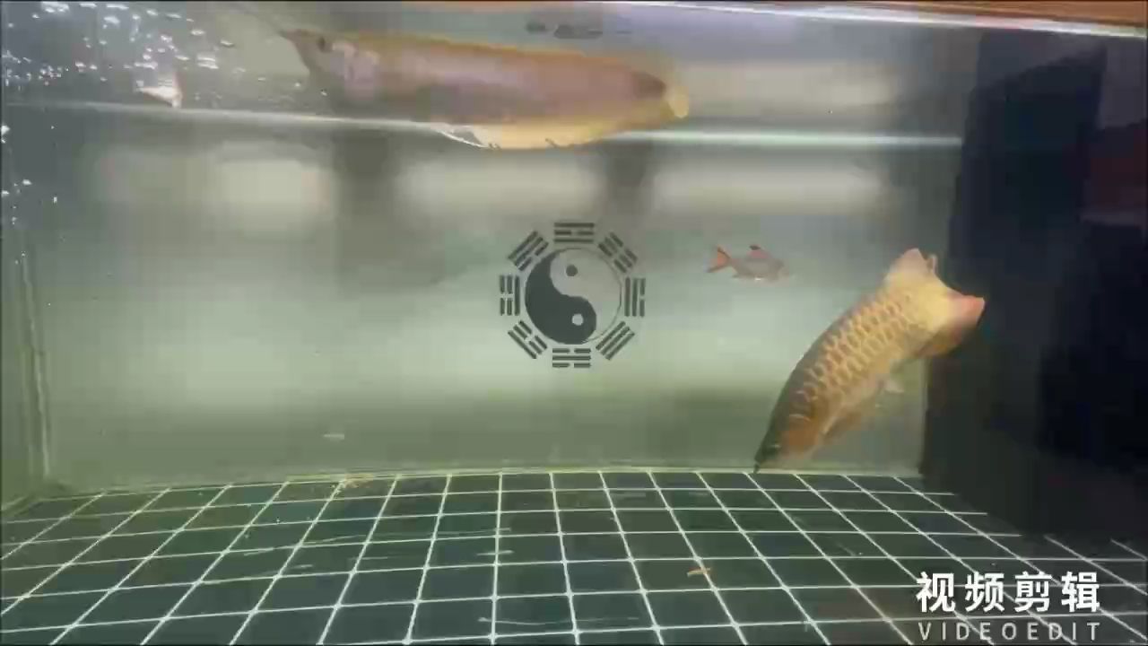 每天打卡（“每天打卡”對人的影響）