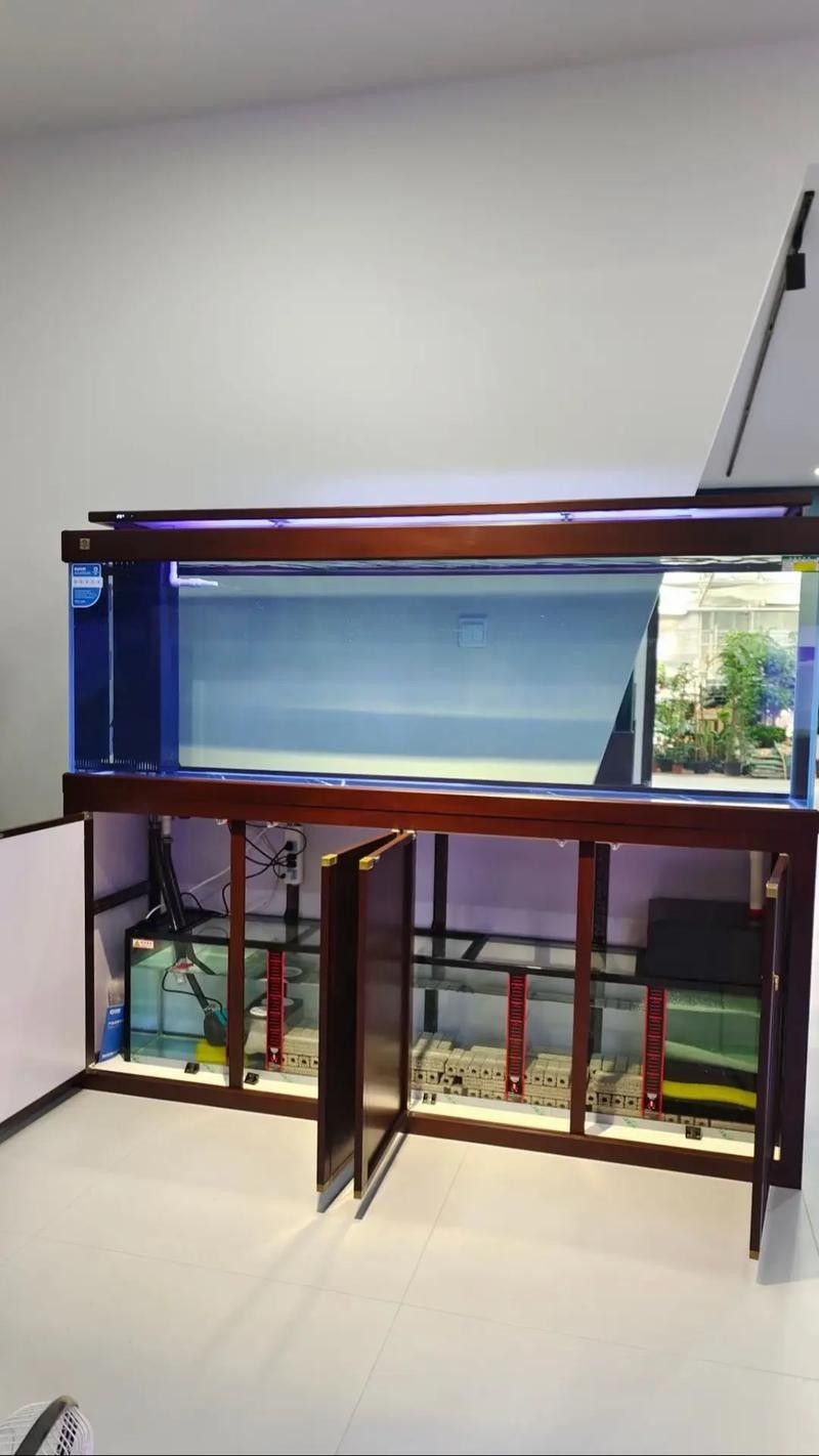 推薦幾款適合2米缸的過濾器（2米大型魚缸過濾器推薦：適合2米大型魚缸的過濾器）