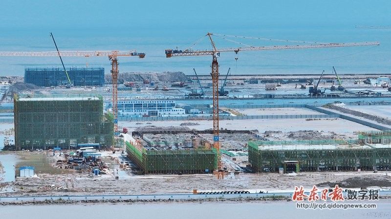 金龍魚項目預計何時完工