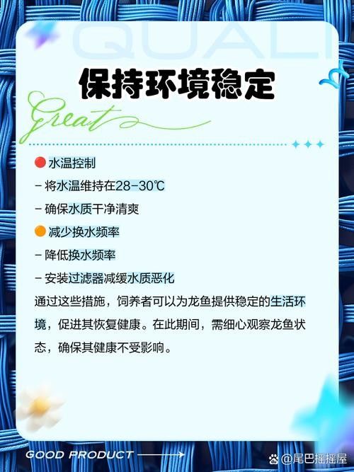 如何預防龍魚晚上撞缸（龍魚夜間撞缸怎么辦） 如何預防龍魚晚上撞缸（龍魚夜間撞缸怎么辦） 龍魚百科 第3張