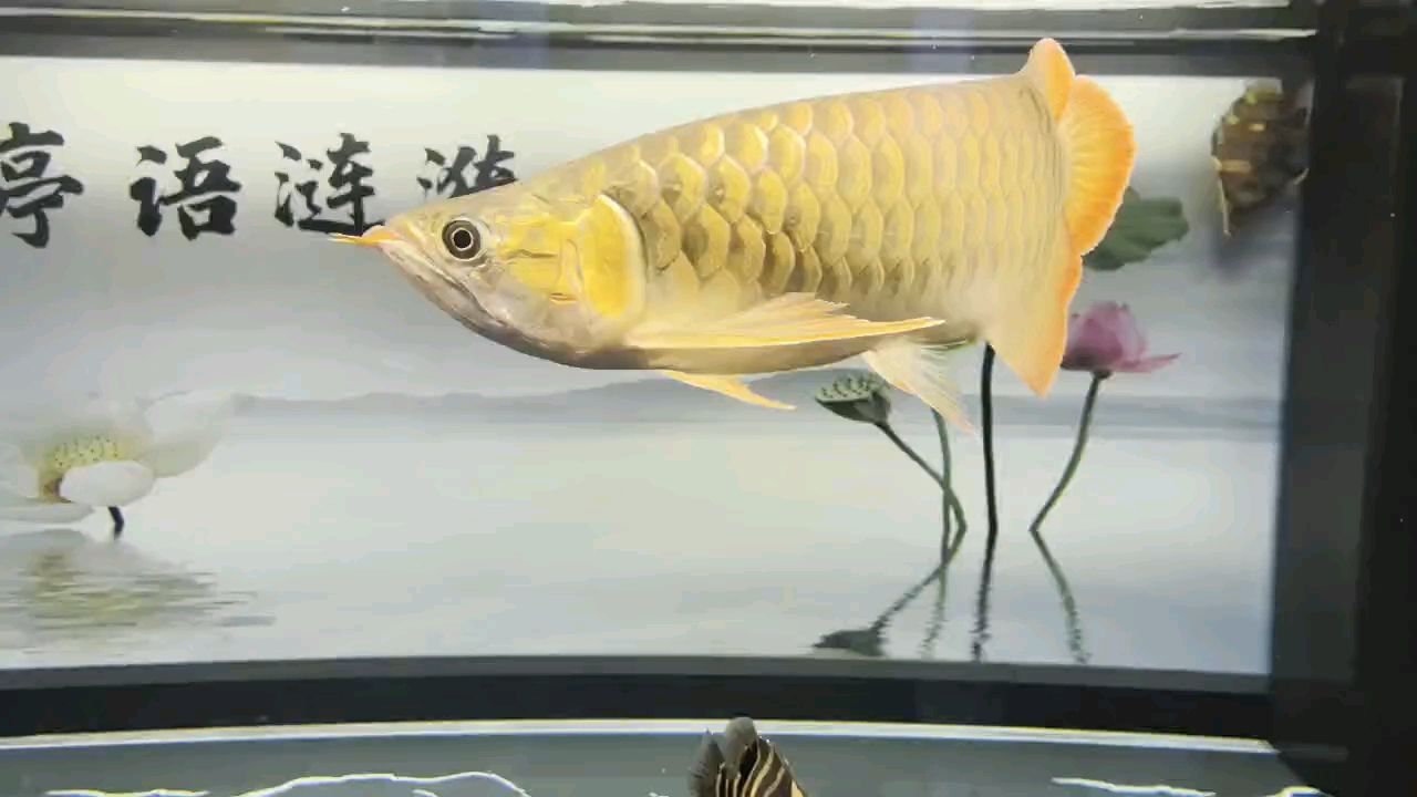 堅持愛好（堅持愛好對個人的影響）