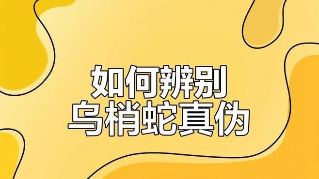 如何辨別口味蛇的真偽？（如何辨別口味蛇的真偽） 如何辨別口味蛇的真偽？（如何辨別口味蛇的真偽） 龍魚百科 第7張