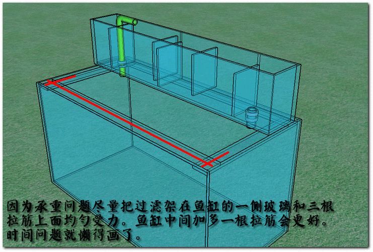 哪種過濾系統最適合雷龍魚？（雷龍魚的過濾系統選擇）