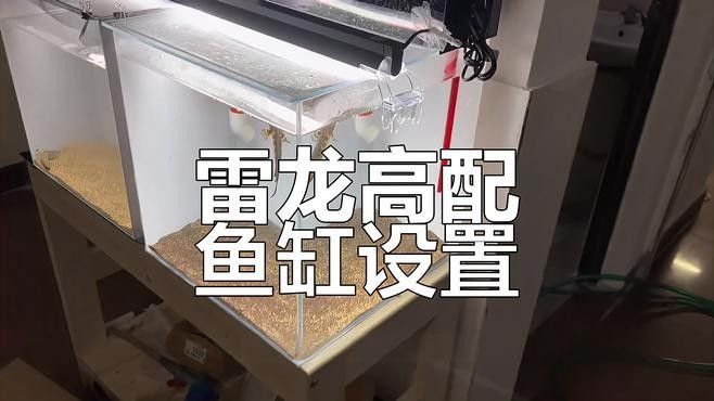 哪種過濾系統最適合雷龍魚？（雷龍魚的過濾系統選擇）