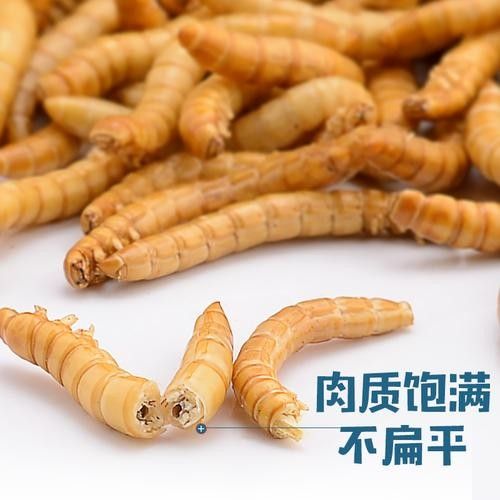 龍魚除了面包蟲干還能吃什么？（龍魚七大必吃食物營養搭配全解析龍魚喂養注意事項） 龍魚除了面包蟲干還能吃什么？（龍魚七大必吃食物營養搭配全解析龍魚喂養注意事項） 龍魚百科 第6張