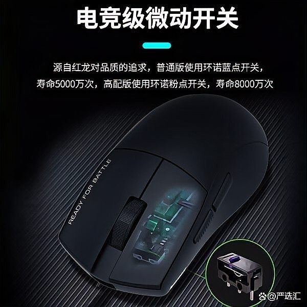 紅龍配色中哪款最受歡迎？（探討紅龍配色的流行程度時）