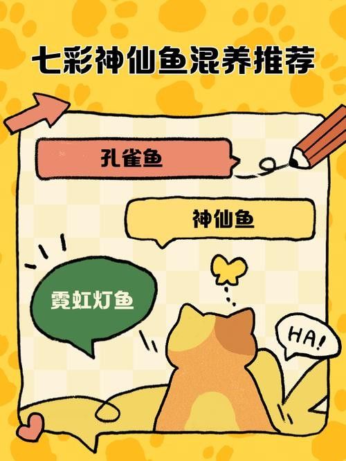 七彩神仙魚混養(yǎng)圖片欣賞