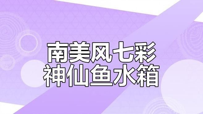 七彩神仙魚混養(yǎng)圖片欣賞